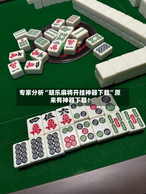 专家分析“胡乐麻将开挂神器下载”原来有神器下载！-第2张图片