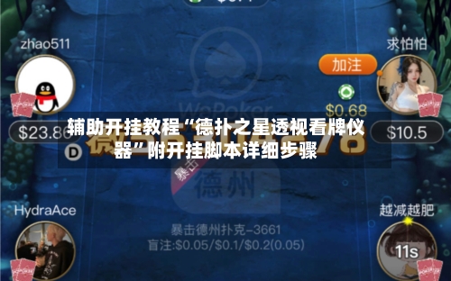 辅助开挂教程“德扑之星透视看牌仪器”附开挂脚本详细步骤-第3张图片