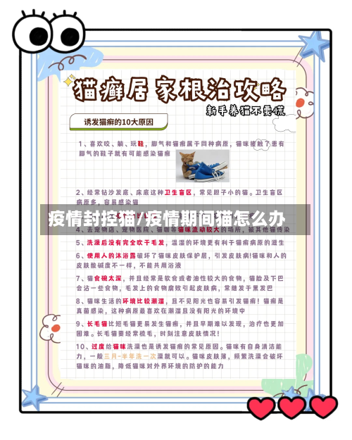 疫情封控猫/疫情期间猫怎么办