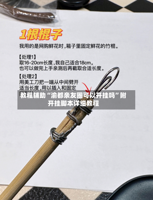 教程辅助“渝都亲友圈可以开挂吗”附开挂脚本详细教程-第3张图片