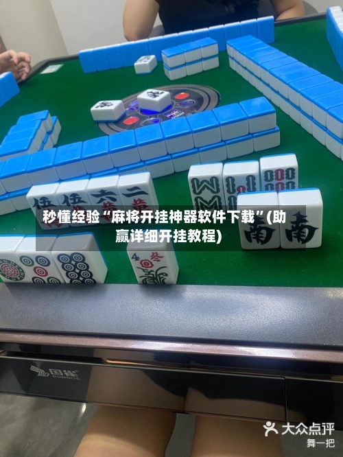 秒懂经验“麻将开挂神器软件下载”(助赢详细开挂教程)-第3张图片