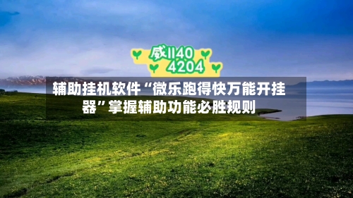 辅助挂机软件“微乐跑得快万能开挂器	”掌握辅助功能必胜规则-第2张图片