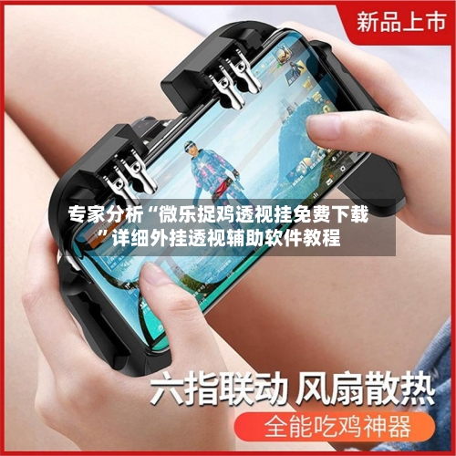 专家分析“微乐捉鸡透视挂免费下载”详细外挂透视辅助软件教程-第3张图片