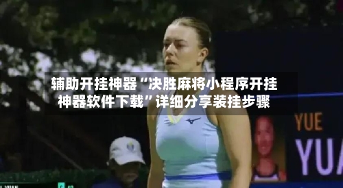 辅助开挂神器“决胜麻将小程序开挂神器软件下载”详细分享装挂步骤-第2张图片