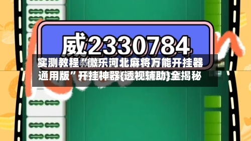 实测教程“微乐河北麻将万能开挂器通用版”开挂神器{透视辅助}全揭秘-第2张图片