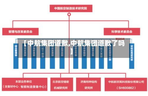 【中航集团道歉,中航集团道歉了吗】-第2张图片