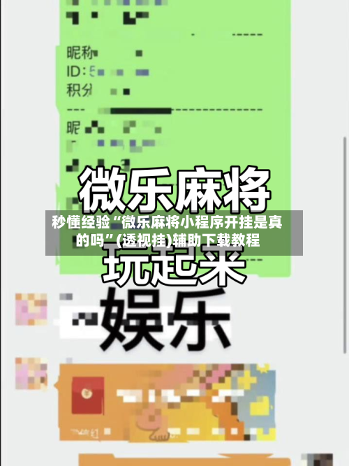秒懂经验“微乐麻将小程序开挂是真的吗”(透视挂)辅助下载教程-第2张图片