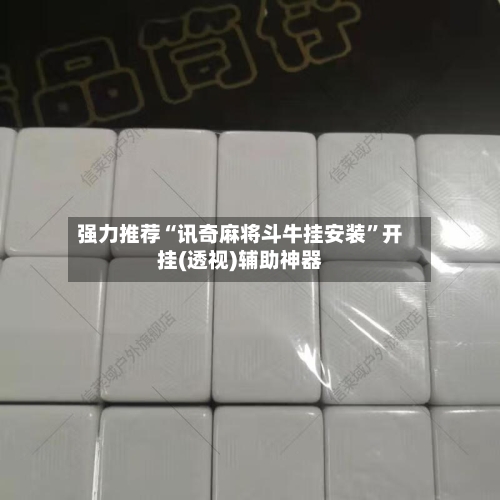 强力推荐“讯奇麻将斗牛挂安装”开挂(透视)辅助神器-第3张图片