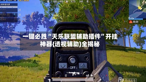 一键必胜“天乐联盟辅助插件”开挂神器{透视辅助}全揭秘-第2张图片