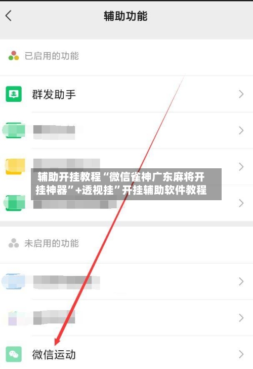 辅助开挂教程“微信雀神广东麻将开挂神器”+透视挂	”开挂辅助软件教程-第2张图片
