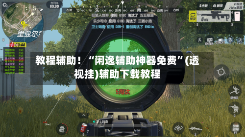 教程辅助！“闲逸辅助神器免费”(透视挂)辅助下载教程-第2张图片