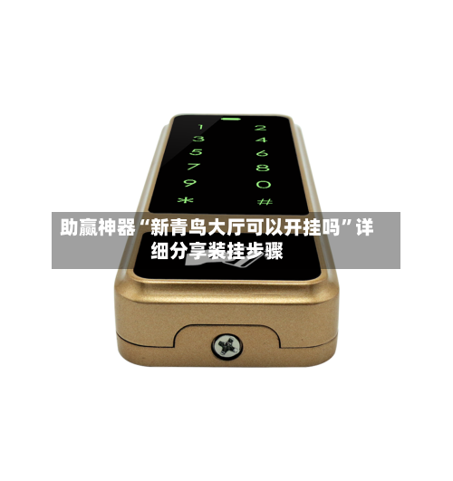 助赢神器“新青鸟大厅可以开挂吗”详细分享装挂步骤-第3张图片