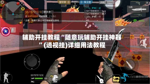 辅助开挂教程“随意玩辅助开挂神器”(透视挂)详细用法教程-第3张图片
