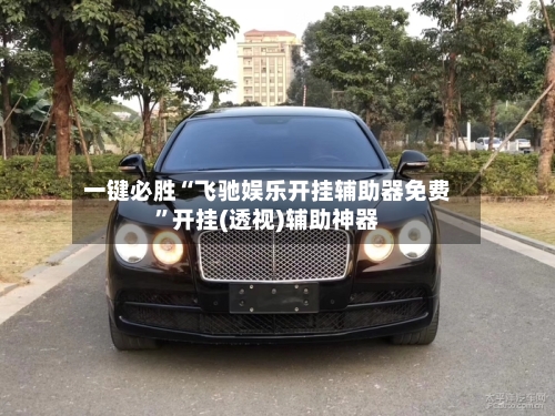 一键必胜“飞驰娱乐开挂辅助器免费”开挂(透视)辅助神器-第3张图片