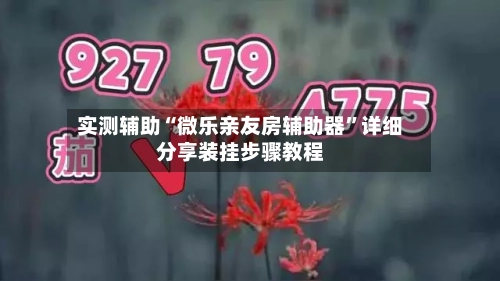 实测辅助“微乐亲友房辅助器	”详细分享装挂步骤教程-第2张图片