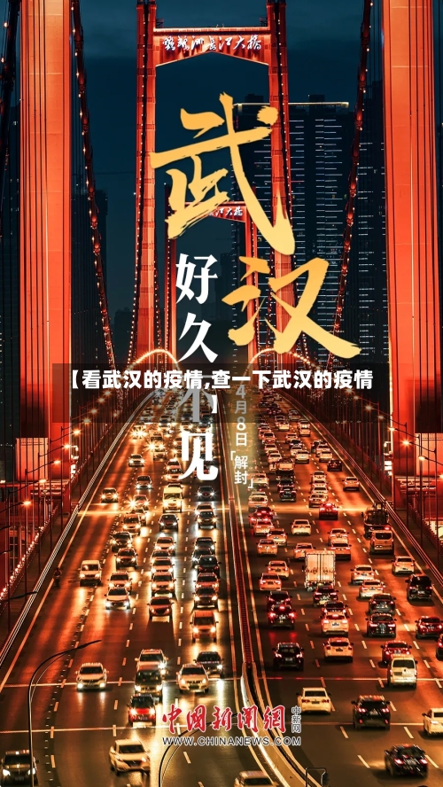 【看武汉的疫情,查一下武汉的疫情】-第2张图片