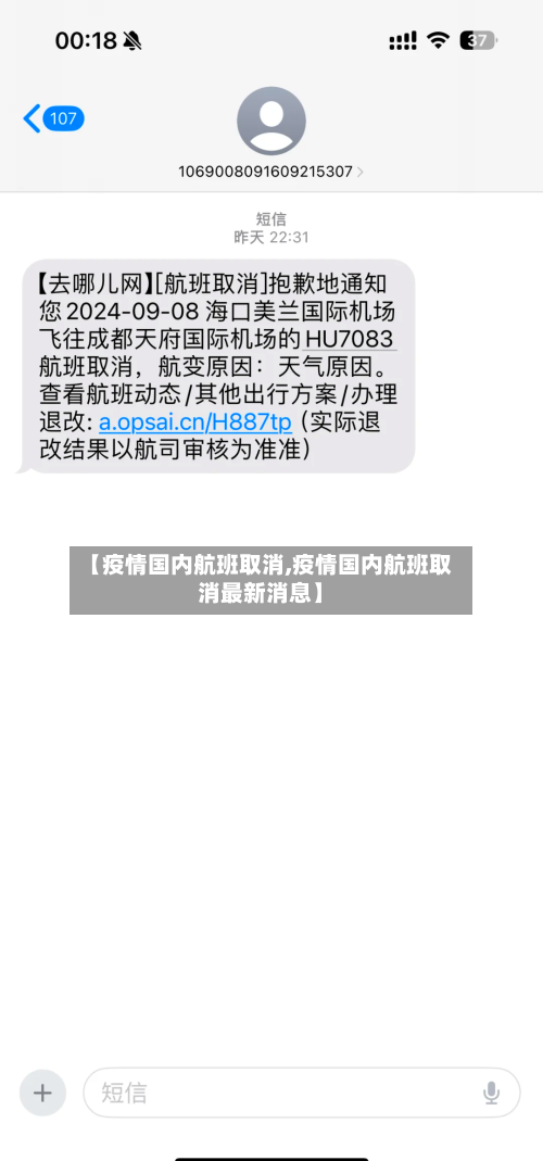 【疫情国内航班取消,疫情国内航班取消最新消息】