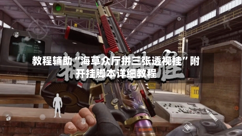 教程辅助“海草众厅拼三张透视挂	”附开挂脚本详细教程-第2张图片