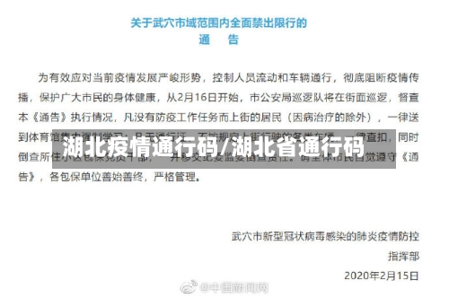 湖北疫情通行码/湖北省通行码
