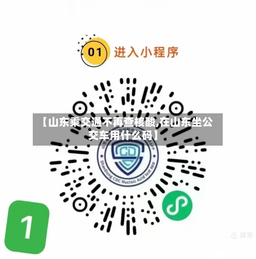 【山东乘交通不再查核酸,在山东坐公交车用什么码】