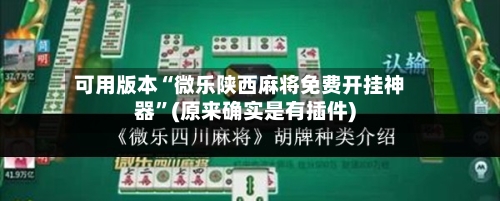 可用版本“微乐陕西麻将免费开挂神器”(原来确实是有插件)-第3张图片