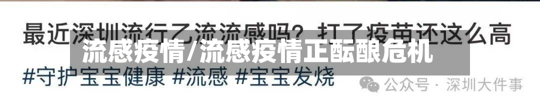 流感疫情/流感疫情正酝酿危机-第3张图片