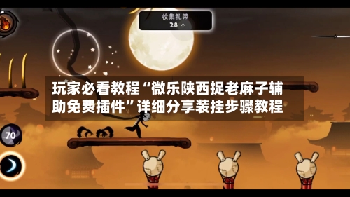 玩家必看教程“微乐陕西捉老麻子辅助免费插件	”详细分享装挂步骤教程-第2张图片