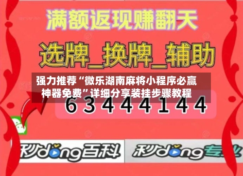 强力推荐“微乐湖南麻将小程序必赢神器免费”详细分享装挂步骤教程-第3张图片