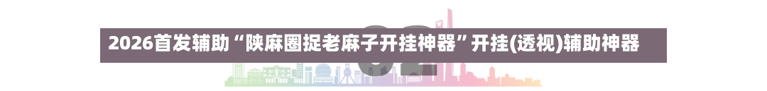 2026首发辅助“陕麻圈捉老麻子开挂神器”开挂(透视)辅助神器-第3张图片