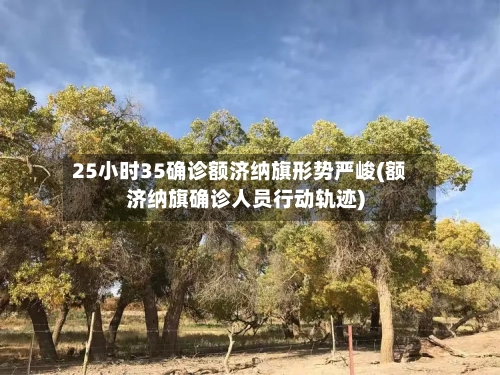 25小时35确诊额济纳旗形势严峻(额济纳旗确诊人员行动轨迹)
