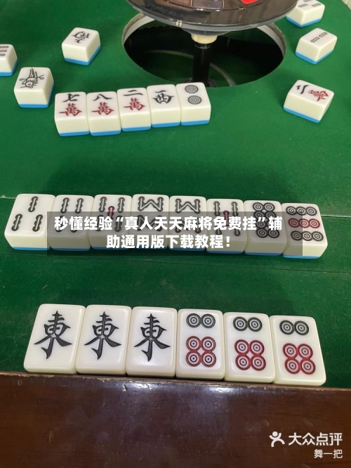 秒懂经验“真人天天麻将免费挂”辅助通用版下载教程！