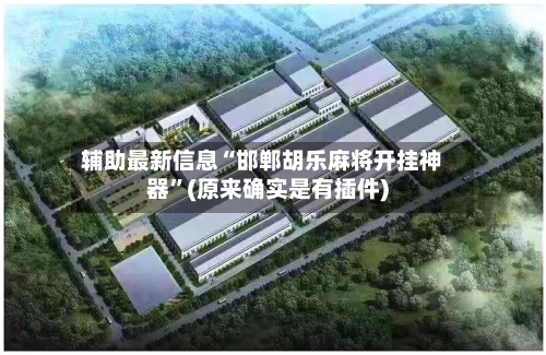 辅助最新信息“邯郸胡乐麻将开挂神器”(原来确实是有插件)-第2张图片