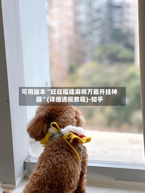 可用版本“旺旺福建麻将万能开挂神器”(详细透视教程)-知乎-第3张图片