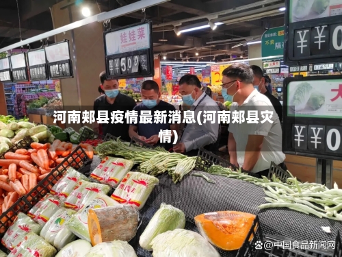 河南郏县疫情最新消息(河南郏县灾情)