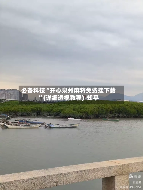 必备科技“开心泉州麻将免费挂下载”(详细透视教程)-知乎