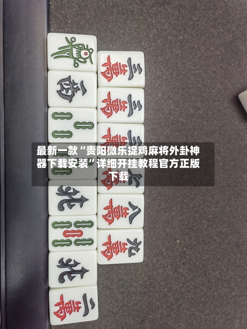 最新一款“贵阳微乐捉鸡麻将外卦神器下载安装	”详细开挂教程官方正版下载-第2张图片