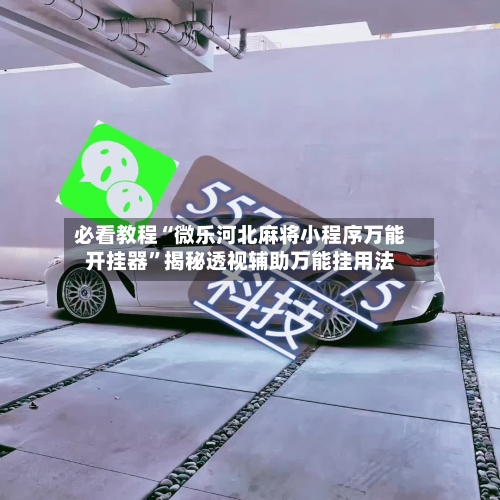 必看教程“微乐河北麻将小程序万能开挂器	”揭秘透视辅助万能挂用法-第2张图片