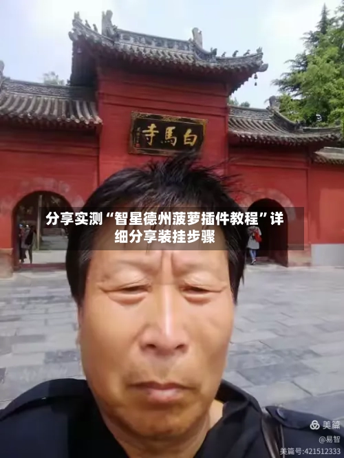 分享实测“智星德州菠萝插件教程”详细分享装挂步骤-第3张图片