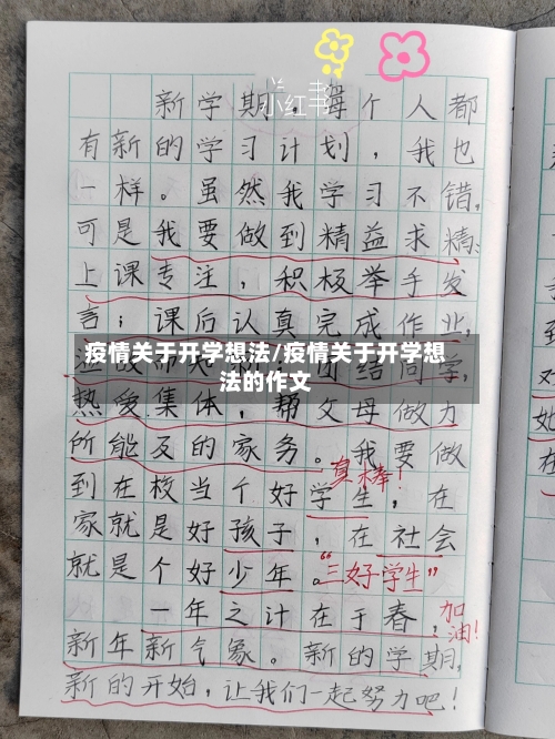 疫情关于开学想法/疫情关于开学想法的作文