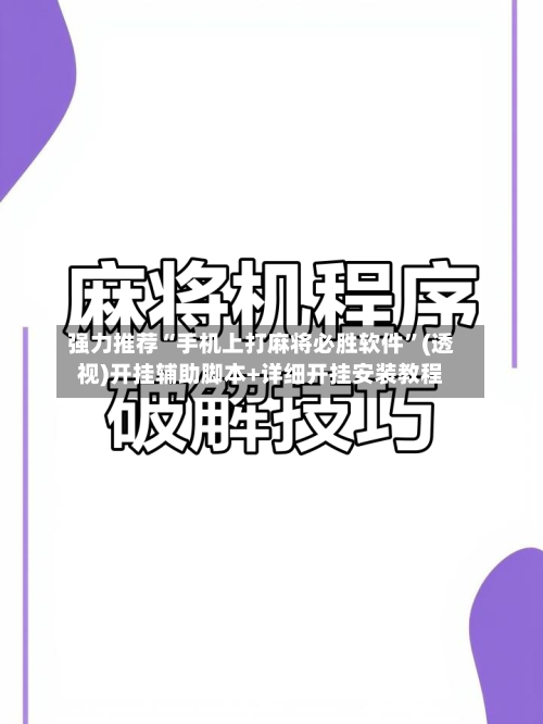 强力推荐“手机上打麻将必胜软件”(透视)开挂辅助脚本+详细开挂安装教程-第2张图片
