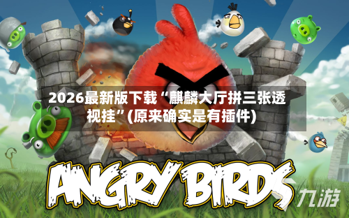 2026最新版下载“麒麟大厅拼三张透视挂	”(原来确实是有插件)-第2张图片