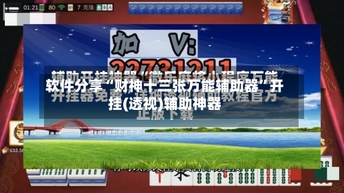 软件分享“财神十三张万能辅助器	”开挂(透视)辅助神器-第2张图片