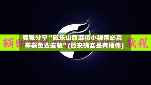 教程分享“微乐山西麻将小程序必赢神器免费安装	”(原来确实是有插件)-第2张图片