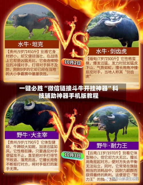 一键必胜“微信链接斗牛开挂神器”科技辅助神器手机版教程-第2张图片