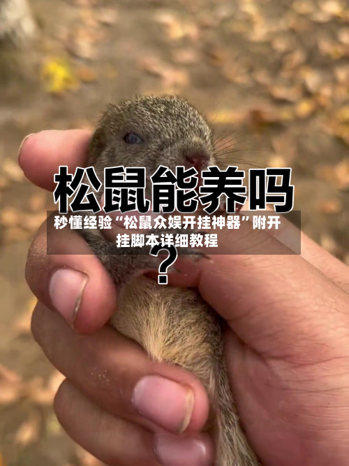 秒懂经验“松鼠众娱开挂神器”附开挂脚本详细教程