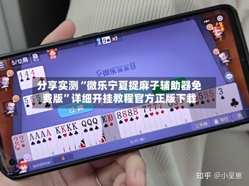 分享实测“微乐宁夏捉麻子辅助器免费版	”详细开挂教程官方正版下载-第2张图片