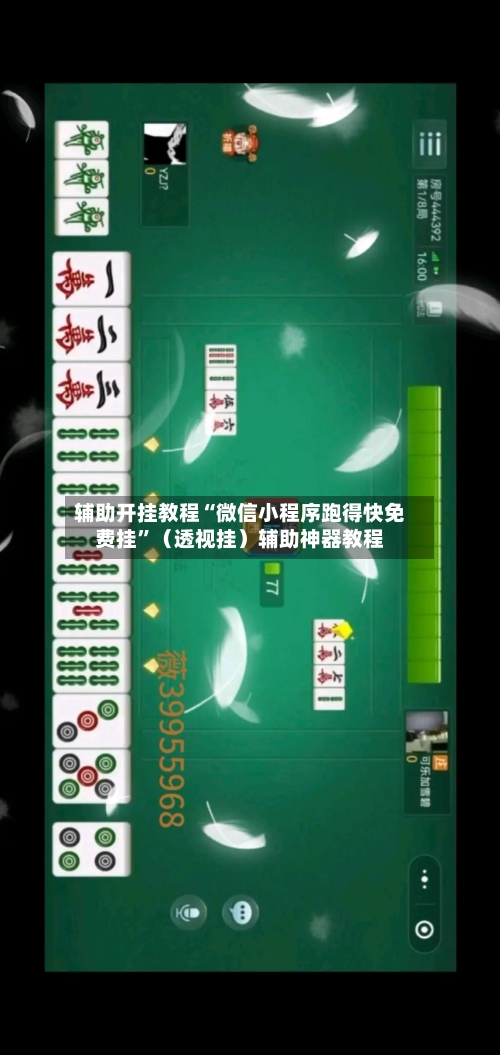 辅助开挂教程“微信小程序跑得快免费挂	”（透视挂）辅助神器教程-第2张图片