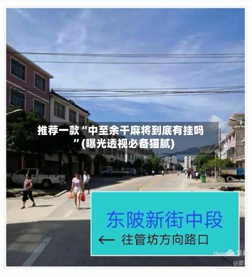 推荐一款“中至余干麻将到底有挂吗”(曝光透视必备猫腻)