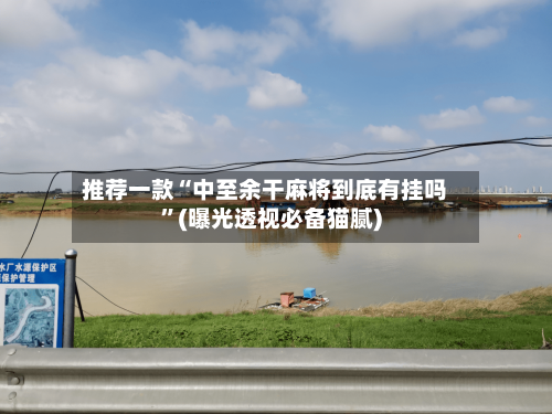 推荐一款“中至余干麻将到底有挂吗	”(曝光透视必备猫腻)-第2张图片