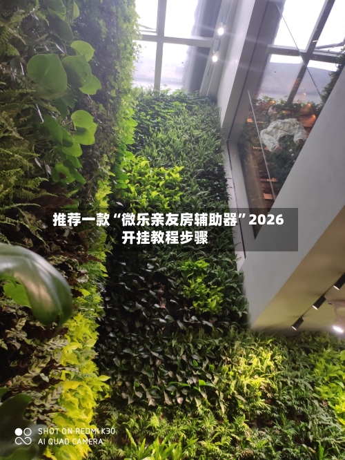 推荐一款“微乐亲友房辅助器”2026开挂教程步骤-第3张图片
